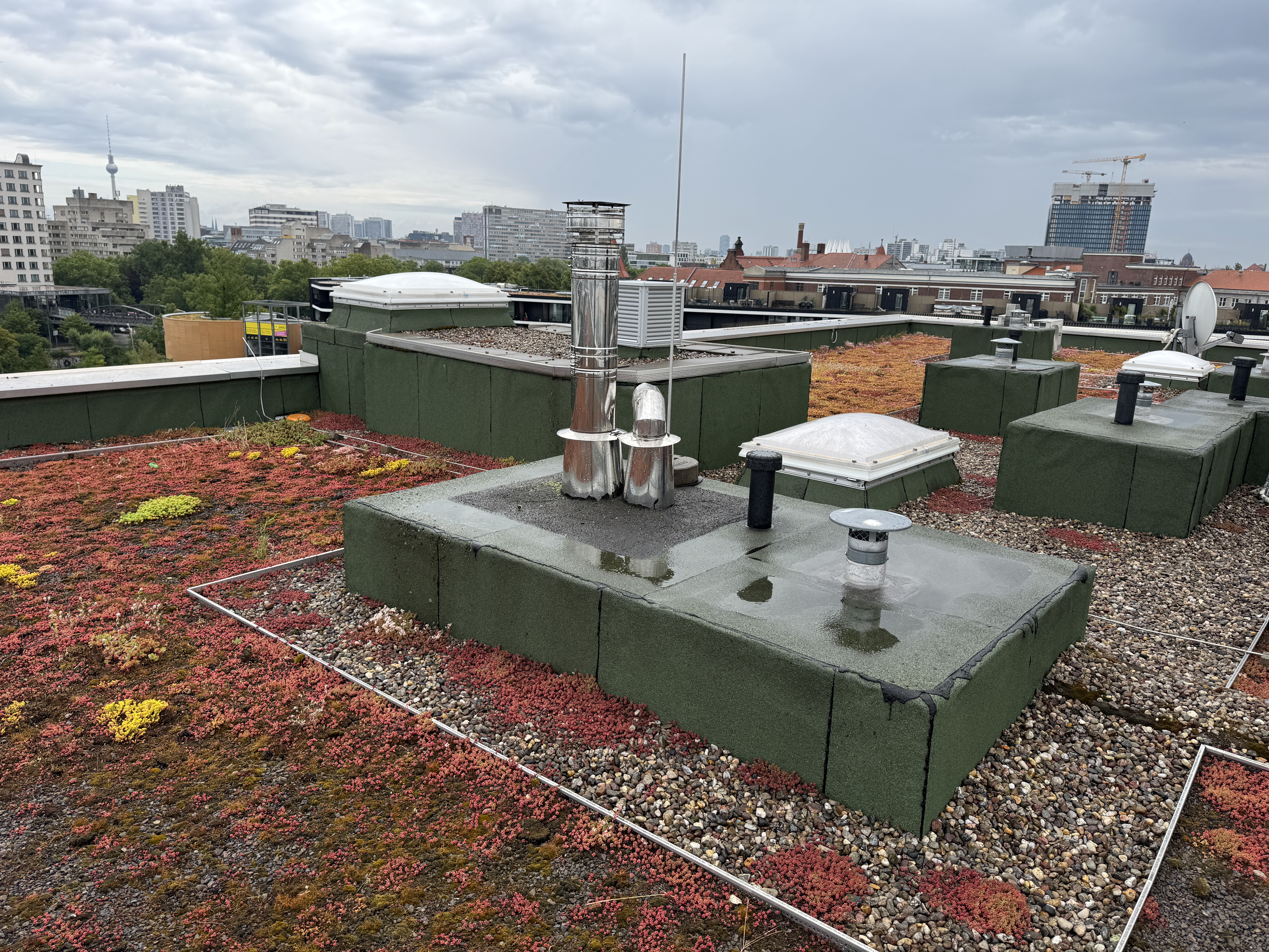 Dachabdichtung - Altbau - Neubau